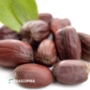 Óleo Vegetal de Jojoba 100ml