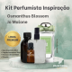 Kit Perfumista Osmanthus Premium Perfumaria Fina Vollmens