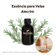 Essência Alecrim Lipossolúvel Concentrada Aromática para Velas