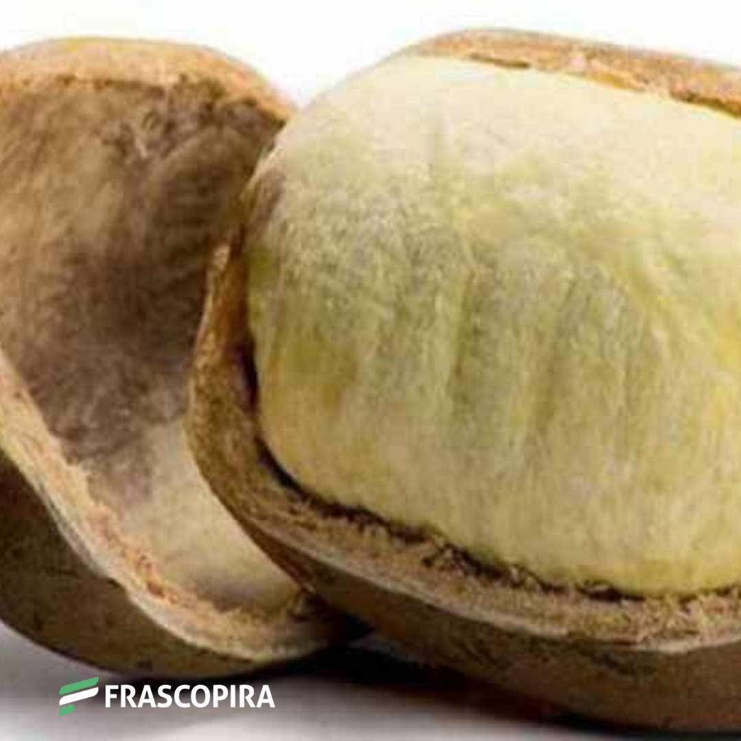 Manteiga de CUPUAÇU 100gr