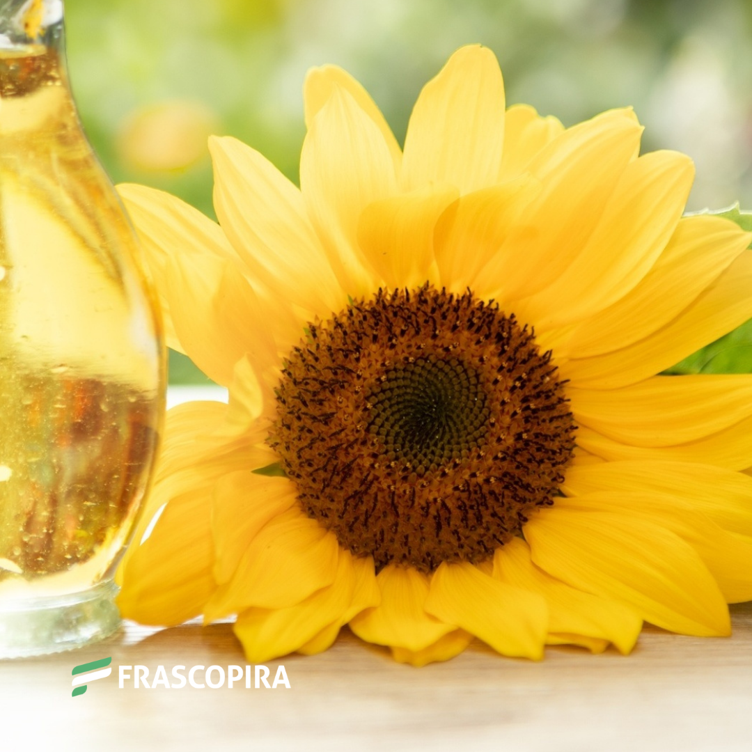 Óleo Vegetal de Girassol 100ml